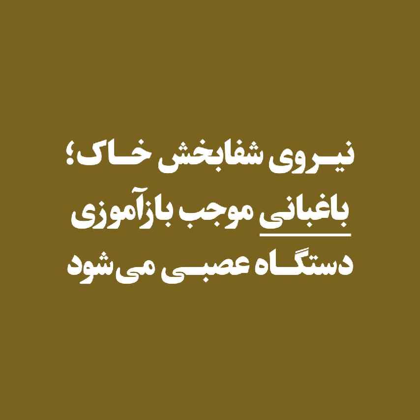 نیروی شفابخش خاک: چگونه باغبانی می تواند ذهن ما را دوباره سیم کشی کند.